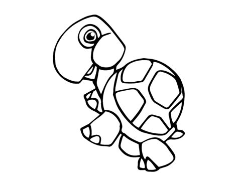 Tortue Png Coloriage Dessin Coloriage My Xxx Hot Girl