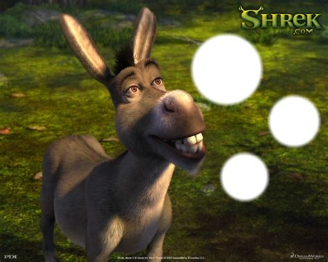 Shrek Montage Photo Pixiz