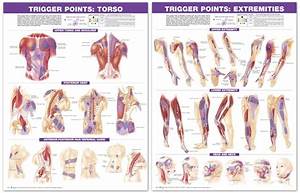 Myofascial Release Trigger Point Therapy Chiropractic Near Me