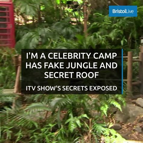 I M A Celebrity Camp Has Fake Jungle And Secret Roof Itv Show S Secrets Exposed Roof Jungle