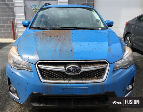 When applying wax, sealant, or ceramic coatings, take care not to apply the aforementioned products on plastic trim and automotive glass, especially if the product is strictly intended for paint only. FUSION PLUS Ceramic Coating | XPEL | Surface Protection