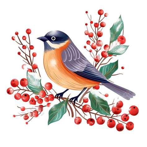Winter Christmas Bird With Branches And Berry Christmas Bird Winter
