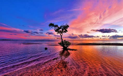 3840x1080px Free Download Hd Wallpaper Sea Ocean Red Sunset Tree