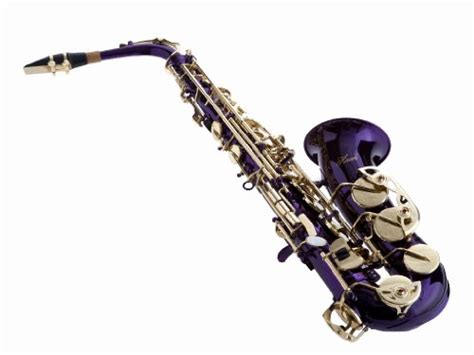 Hawk Wd S416 Pl Student Alto Saxophone With Case Mouthpiece And Reed