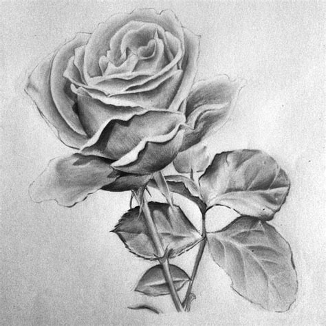 Pin By Roseanna Nielsen On My Favorite Artist Brandy Rose Lukisan
