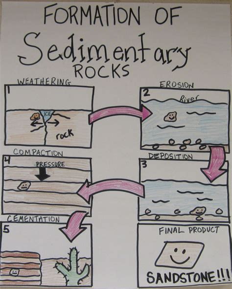 Formation Of Sedimentary Rocks Anchor Chart Earth Science Lessons