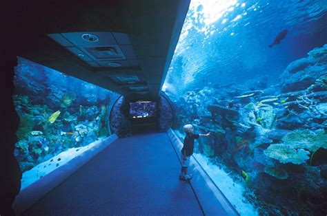 Aquarium Of The Pacific Long Beach Long Beach Hdr Real Estate
