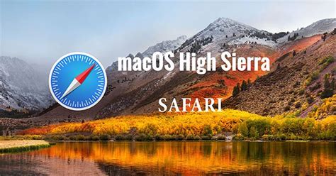 How To Always Allow Downloading On Safari Macos
