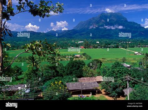 Doi Luang Mountain Chiang Dao District Chiang Mai Province Thailand