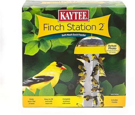 The Best Finch Feeders To Serve Thistle Seed Birds And Blooms
