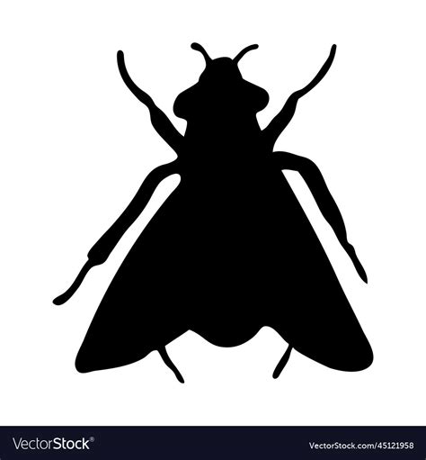Fly Silhouette Royalty Free Vector Image Vectorstock