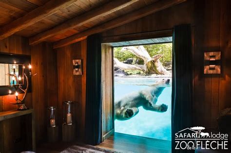 Partager cette ressource sur les réseaux sociaux. Safari Lodge: Bewertungen & Fotos (La Fleche, Frankreich ...