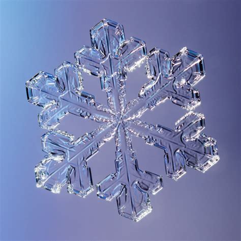 Snowflakes Under The Microscope Cool Tickling