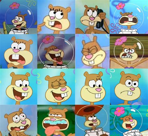 Spongebob Squarepants Sandy Cheeks Faces By The Acorn Bunch On Deviantart