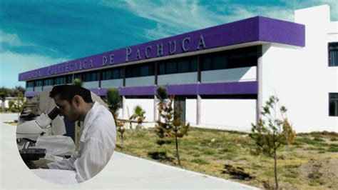 universidad politécnica de pachuca lidera en el sistema nacional de investigadores la silla rota