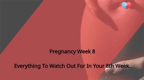 Pregnancy Weekly Guide What Happens During Pregnancy Week 8 Youtube