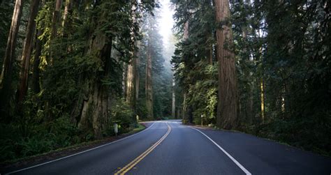 Oregons 12 Most Scenic Drives Byways The Local Arrow Pacific