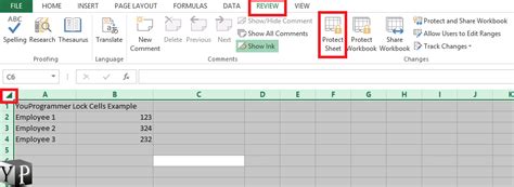 How To Lock Cells In Excel Spreadsheet Youprogrammer