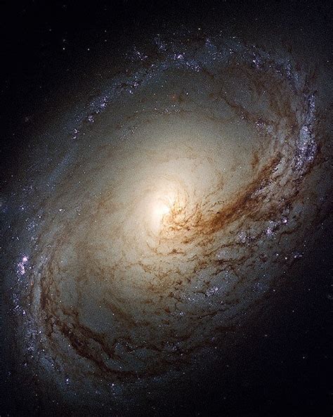 Nasa Hubble Telescope Legus Galaxy Ngc 3368 8x10 Silver Halide Photo