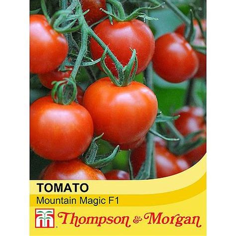 Tomato Mountain Magic F1 Hybrid Vegetable Seeds Arboretum Garden