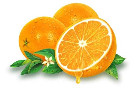 We did not find results for: dibujos naranjas - Buscar con Google (con imágenes ...