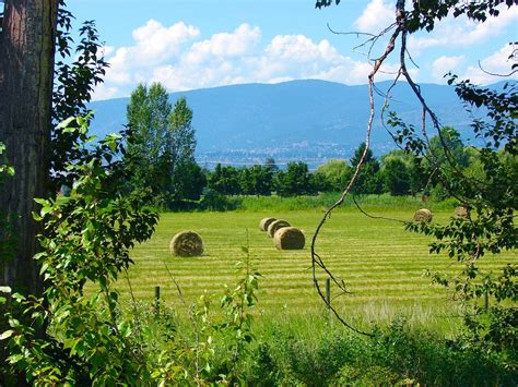 Free Photo Field Hay Landscape Rural Free Image On Pixabay 334172