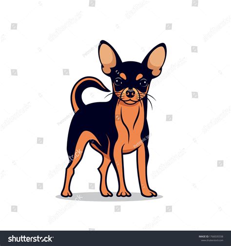 Chihuahua Cartoon Images Stock Photos And Vectors Shutterstock