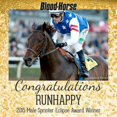 Congratulations To Runhappy America 2 North America Thoroughbred