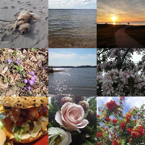 Find your best moments from 2020, share them with friends and get them printed. Best nine 2019 | Kuunloisteen koti