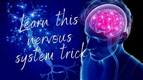 How To Calm Your Nervous System With A Minute Trick Youtube