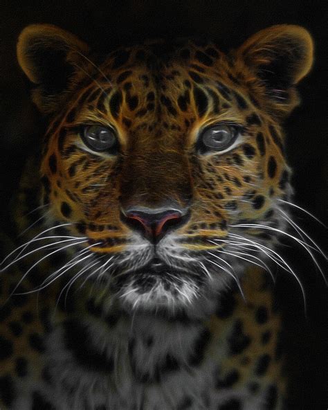 The Leopard Digital Art Digital Art By Ernie Echols