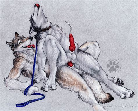 Rule 34 Anal Anthro Balls Blotch Canine Canine Penis Fur Furry Furry