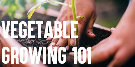 Cornell Cooperative Extension Gardening 101 For Vegetables
