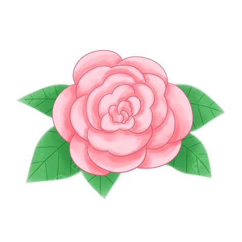 Pink Rose White Transparent Pink Bright Red Vector Roses Pink Rose