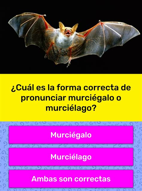 ¿cuál Es La Forma Correcta De La Respuesta De Trivia Quizzclub