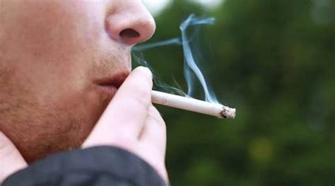 Tobacco Addiction The Harmful Effects Of Smoking And Passive Smoking Hubpages