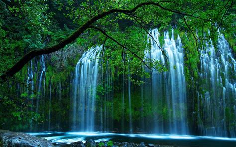 Beautiful Waterfall In The Green In The Woods Wallpapers And Images