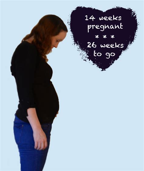 Pregnancy Diaries 14 Weeks