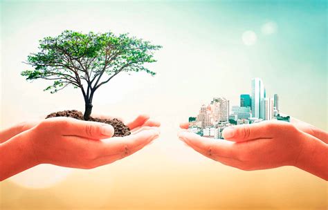 Importancia De La Ecología Características Y Mucho Más Renovables Verdes