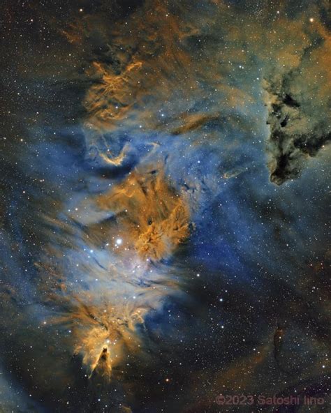 Cone And Fox Fur Nebulas Satoshi Iino Astrobin