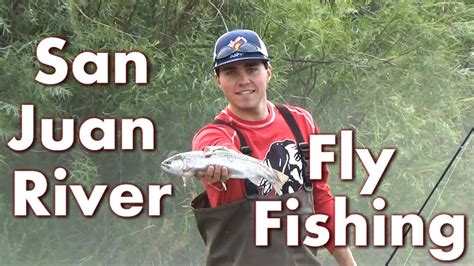 San Juan River Fly Fishing 2016 Youtube