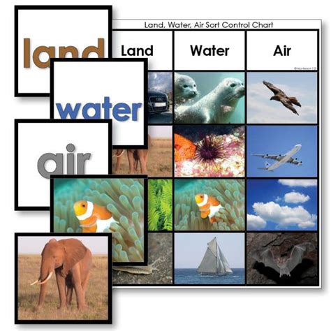 Land Water Or Air Sorting Game Geography Activities Montessori