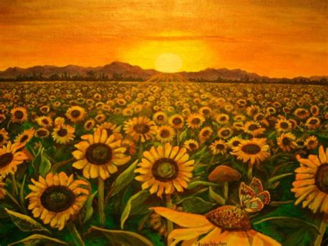 Sunflower Field Sunset Beautiful Wallpaper Hd Flowers Sunflower Field