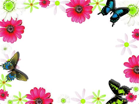 Download transparent flower frame png for free on pngkey.com. Colorful flower frame border - Photopublicdomain.com