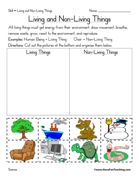 Non Living Things Worksheets Have Fun Teaching