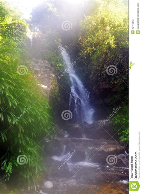 Waterfall In Morning Mist Stock Photo Image Of Tranquil 43465812
