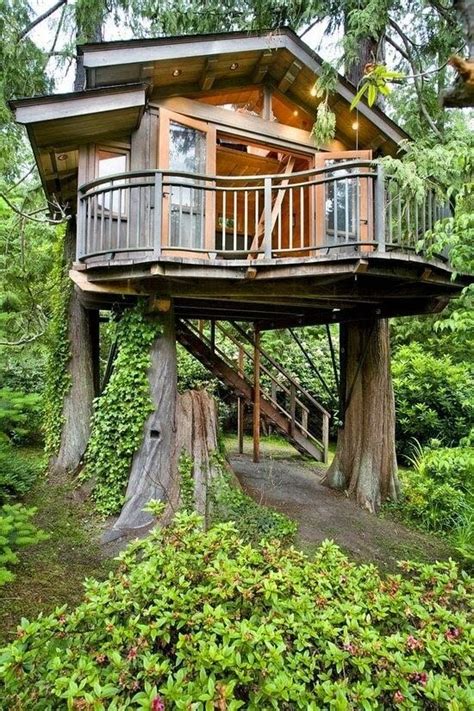 39 Amazing Tree Houses Everyone Wished They Had Growing Up