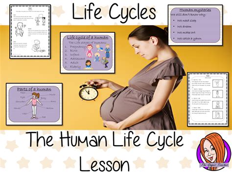 Human Life Cycle Pictures