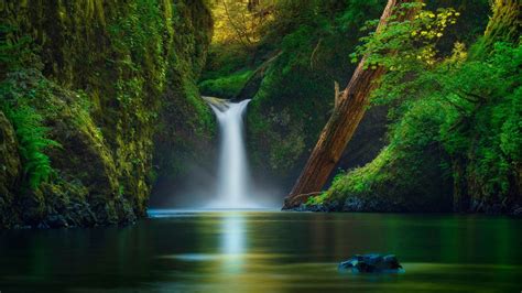 Beautiful Waterfall Lake Rocks Forest Green Leaves Hd Nature Wallpapers