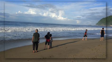 Pantai Sukamade Di Banyuwangi Pengalaman Unik Yang Bisa Kamu Dapatkan